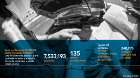The INTERPOL Stolen Motor Vehicle database